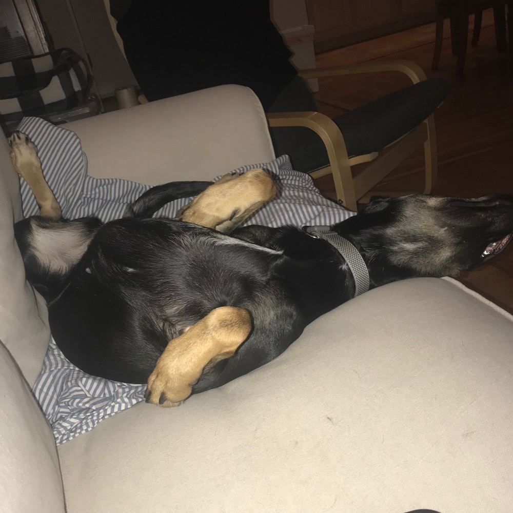 Meet your Posher, Ben